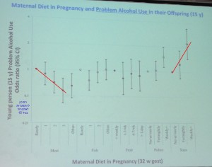 שקף הראשון- גרף הסיכון להתמכרות לאלכוהול כתלות בתזונת האם בהריון